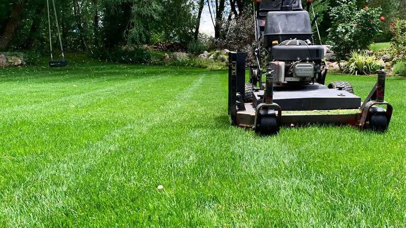 lawn mowing