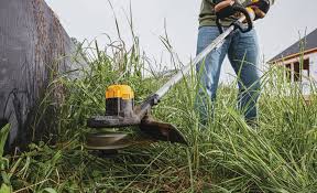 lawn mowing